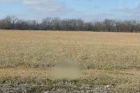 Homesite for sale in Livingston County, Kentucky