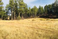 Land for sale in Navajo County, Arizona