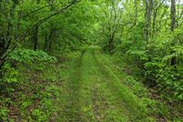 Undeveloped Land for sale in Stone County, Missouri