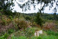 Recreational Property in Coos County, Oregon