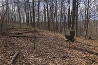 Timberland Property in Scioto County, Ohio