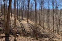 Timberland Property in Lawrence County, Ohio