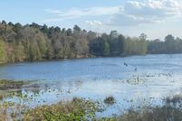 Undeveloped Land in Lexington County, South Carolina
