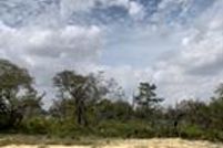 Farm and Ranch in Polk County, Florida