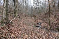 Timberland Property in Lawrence County, Ohio