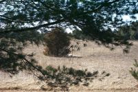 Undeveloped Land in Juneau County, Wisconsin