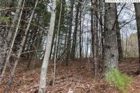 Land for sale in Ashe County, North Carolina