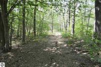 Land in Osceola County, Michigan