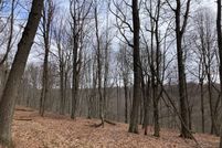 Undeveloped Land in Clearfield County, Pennsylvania