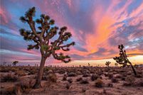 Undeveloped Land in San Bernardino County, California