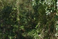 Land for sale in Calhoun County, Alabama