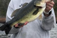 Land in Ontonagon County, Michigan