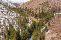 Timberland Property in Baker County, Oregon