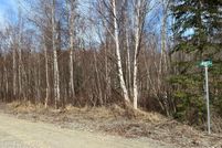 Undeveloped Land in Matanuska-Susitna Borough, Alaska