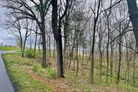 Undeveloped Land in Daviess County, Indiana