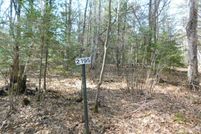 Undeveloped Land in Lincoln County, Wisconsin