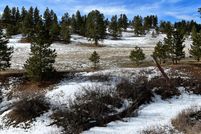 Timberland Property in Golden Valley County, Montana