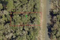 Undeveloped Land in Citrus County, Florida