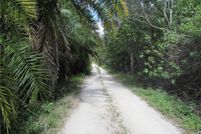 Undeveloped Land in Lee County, Florida