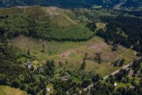 Undeveloped Land in Curry County, Oregon