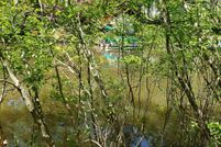 Undeveloped Land in Orange County, Virginia