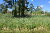 Timberland Property for sale in Accomack County, Virginia