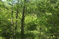 Land in Robertson County, Kentucky