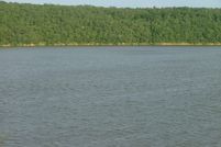 Undeveloped Land in Wise County, Texas