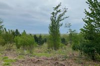 Land in Lake County, Michigan