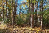 Undeveloped Land in Kalkaska County, Michigan
