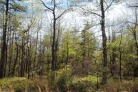 Undeveloped Land in Schuylkill County, Pennsylvania