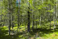 Undeveloped Land in Marinette County, Wisconsin
