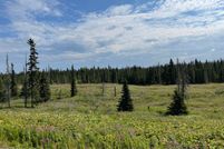 Undeveloped Land in Kenai Peninsula Borough, Alaska