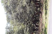 Undeveloped Land in Travis County, Texas