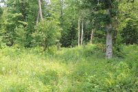 Undeveloped Land in Vernon County, Wisconsin