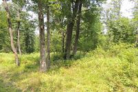 Undeveloped Land in Vernon County, Wisconsin