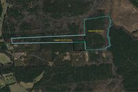 Hunting Property in Brunswick County, Virginia