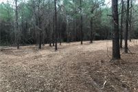 Land for sale in Mobile County, Alabama