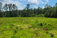 Land in Williamsburg County, South Carolina