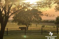 Recreational Property in Cooke County, Texas