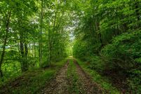 Undeveloped Land in Bledsoe County, Tennessee