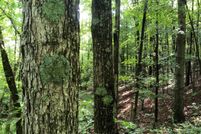 Recreational Property in Vinton County, Ohio