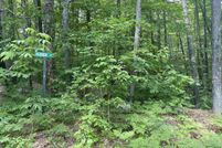 Undeveloped Land in Carroll County, New Hampshire