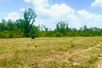 Land in Vernon Parish, Louisiana