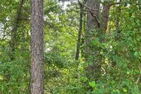 Undeveloped Land in Smith County, Texas