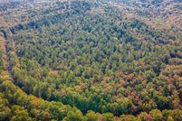 Undeveloped Land for sale in Pulaski County, Arkansas