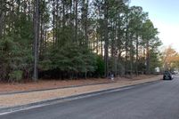 Undeveloped Land in Georgetown County, South Carolina