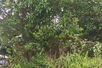 Land for sale in Hawaii County, Hawaii