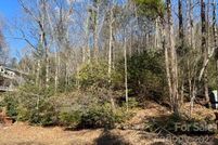 Undeveloped Land in Rutherford County, North Carolina