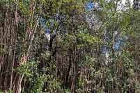 Undeveloped Land in Hawaii County, Hawaii